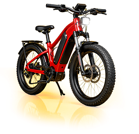 Prêmio: bicicleta elétrica — 12 prêmios